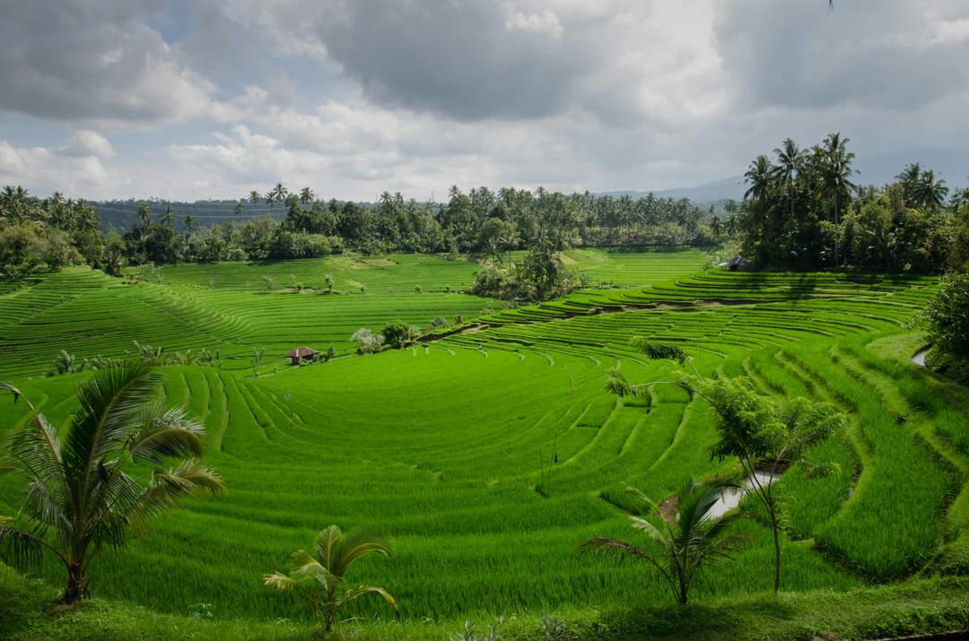 Bali Heritage Tour